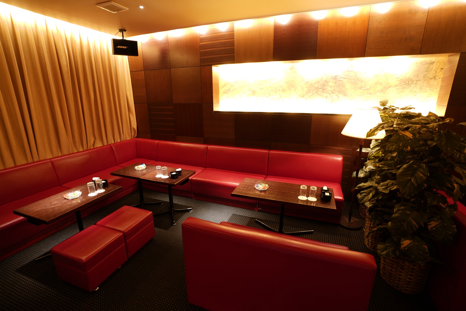 SHIRAYUKI（シラユキ） Image 7
