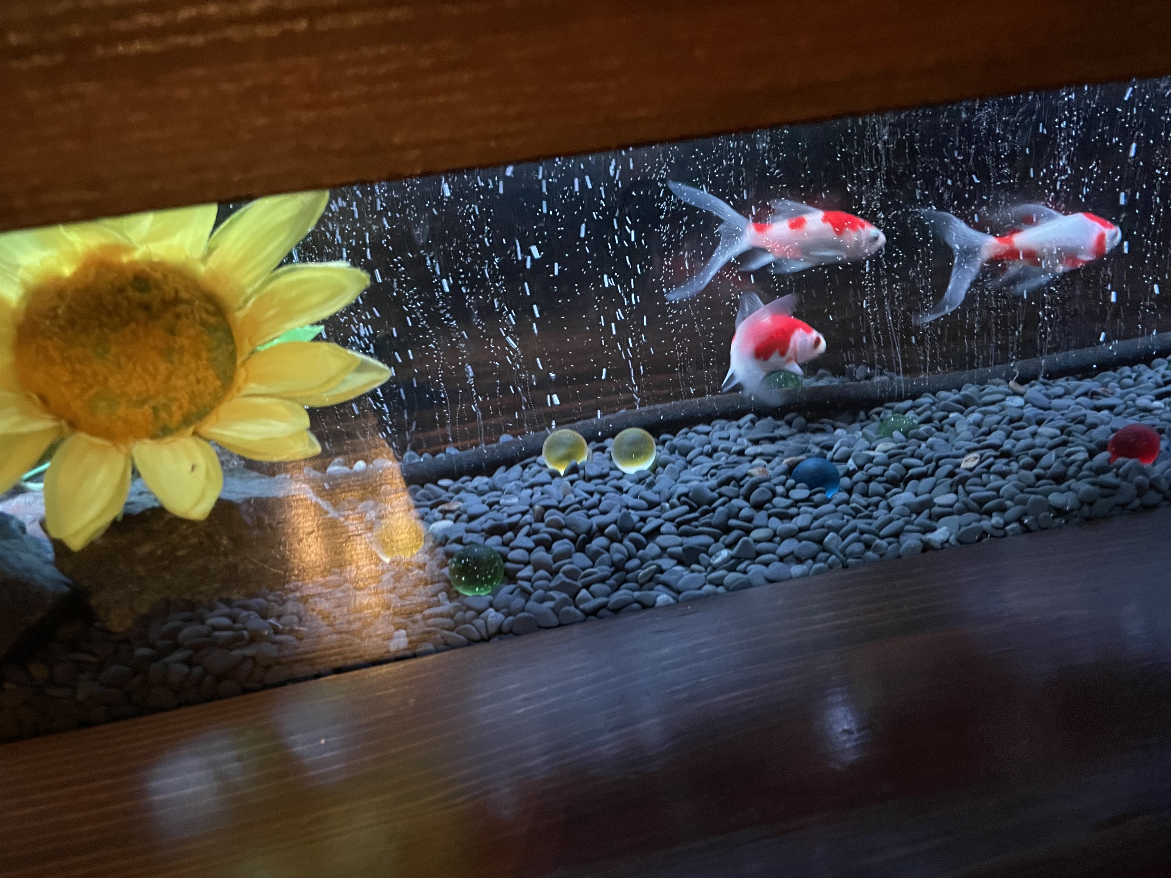 aquarium lounge 響 Image 6