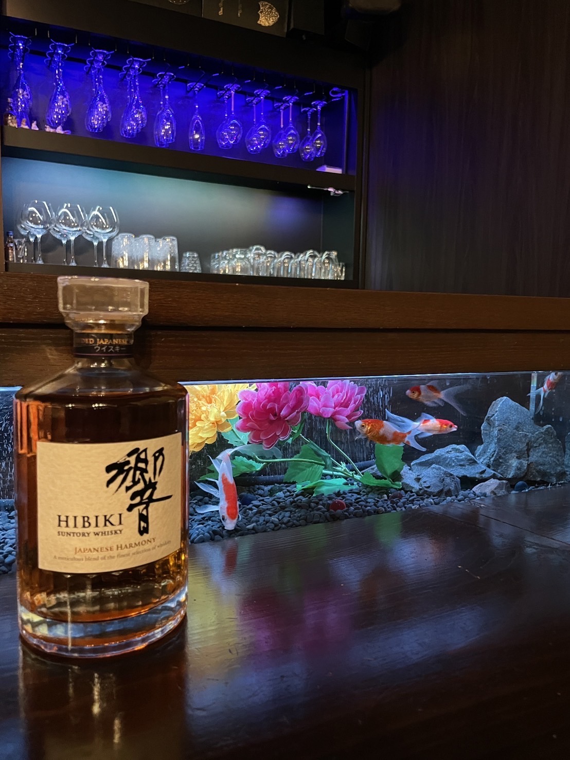 aquarium lounge 響 Image 4