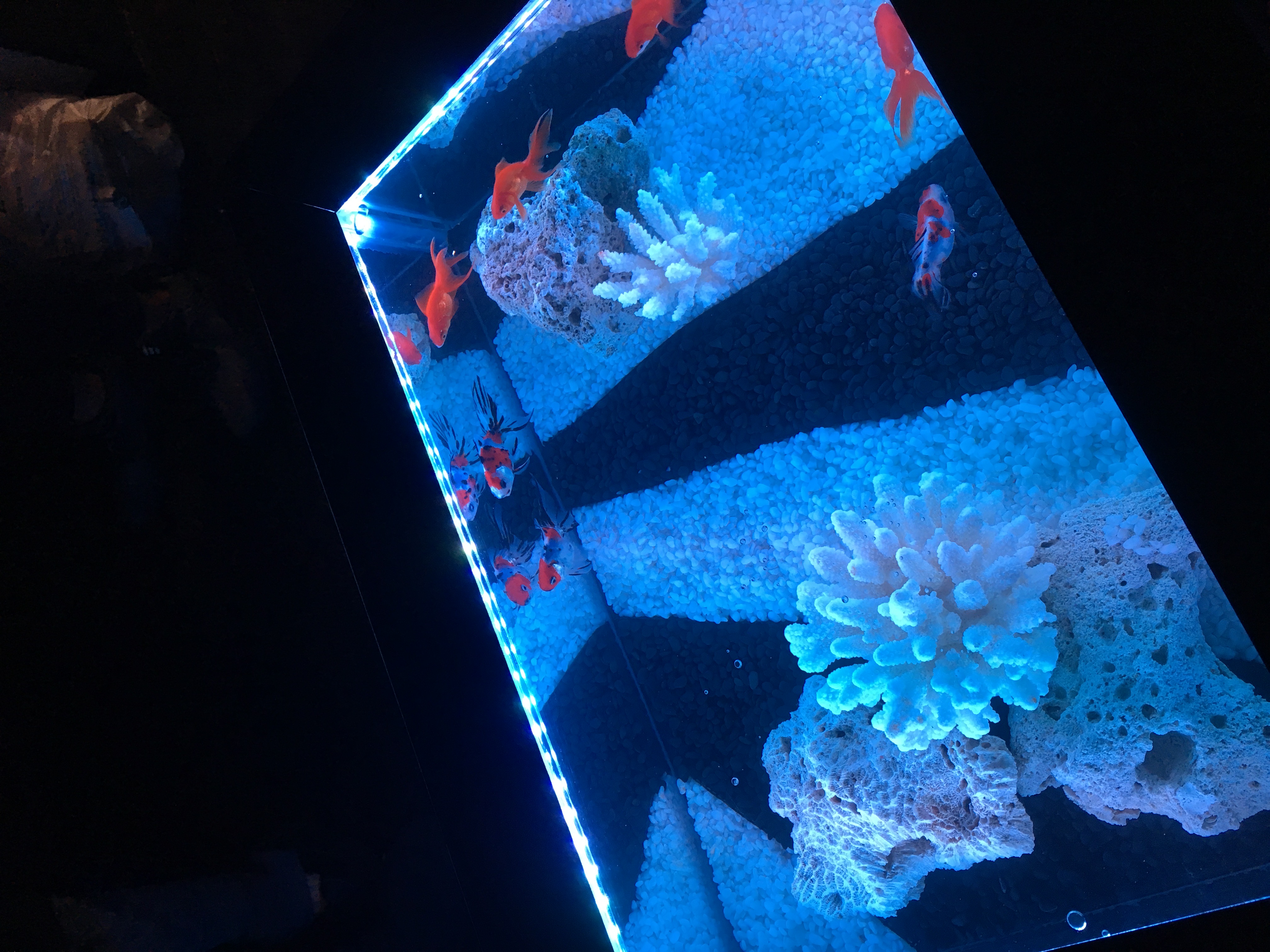 aquarium lounge 響 Image 1