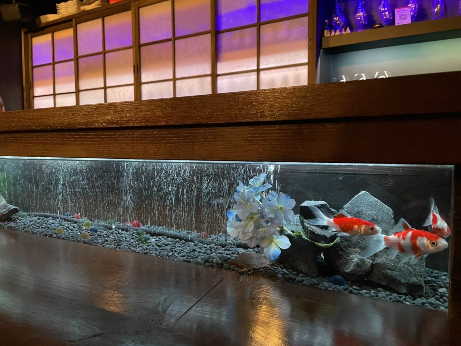 aquarium lounge 響 Image 5