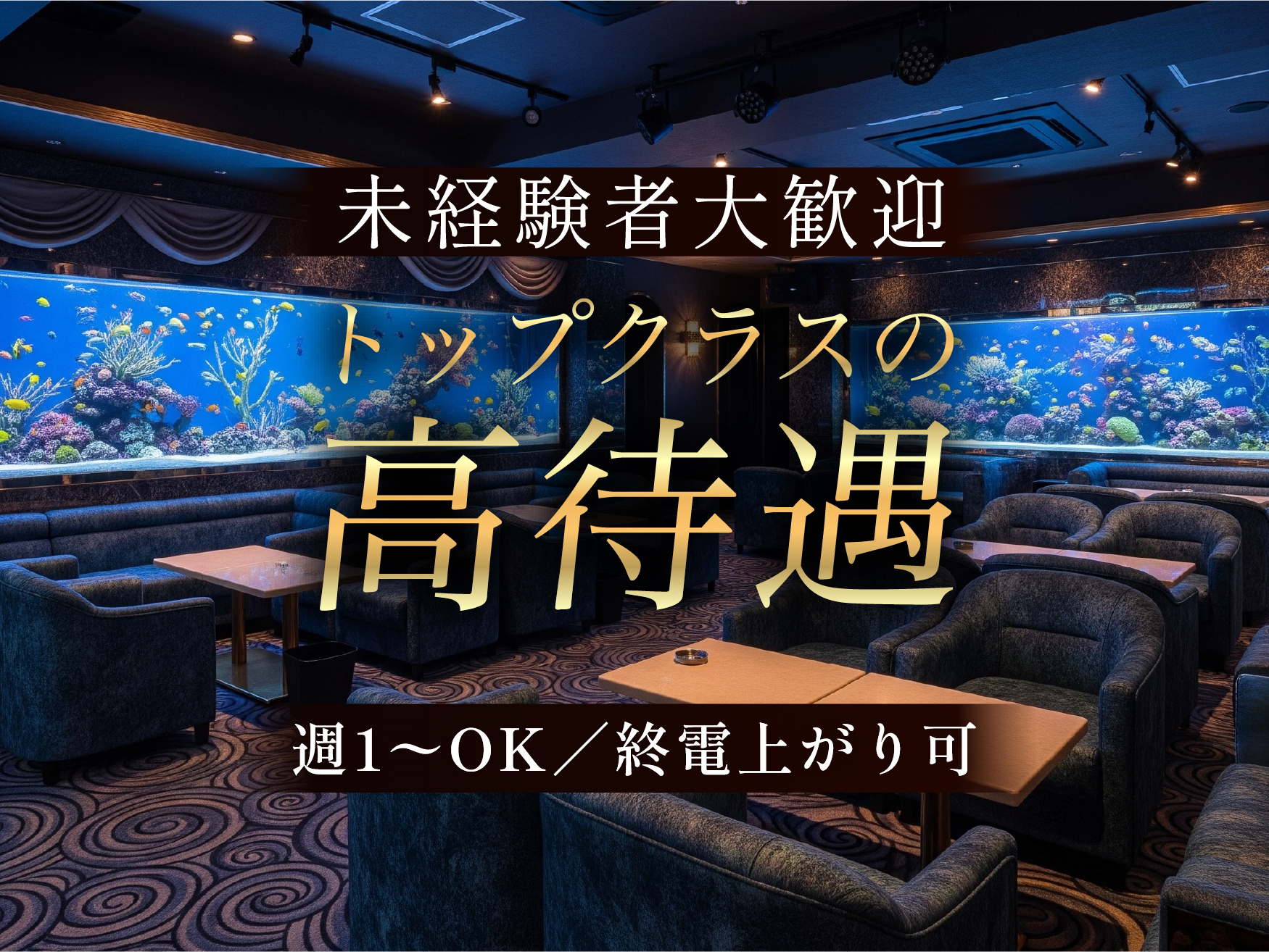 Cotoamo（コトアモ） - 1