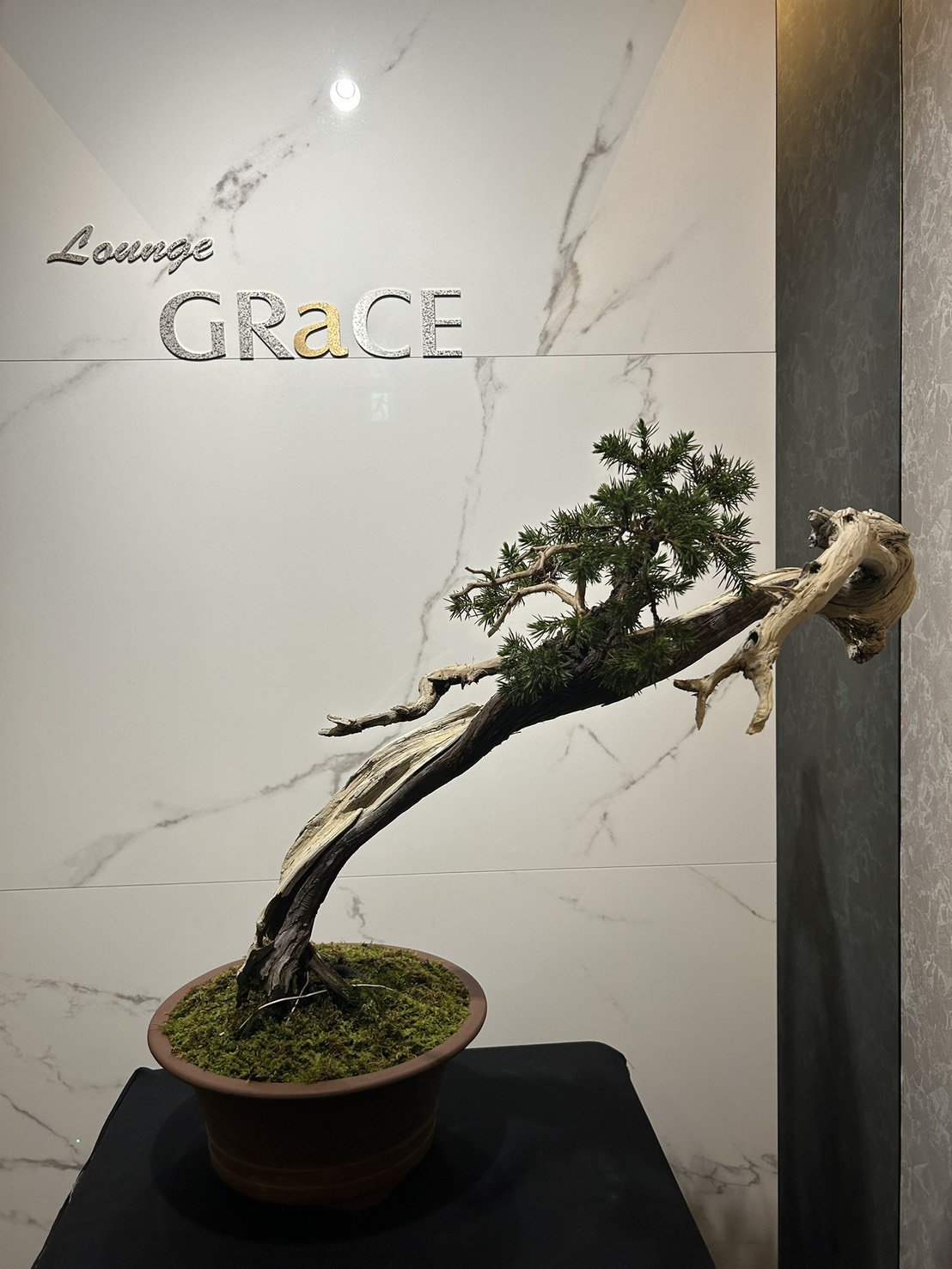 Lounge GRaCE -グレイス- Image 1